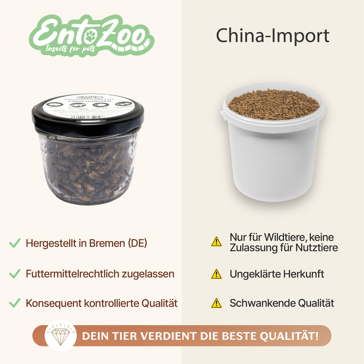 EntoZoo - ganze Heimchen im Glas - einzeln entnehmbar - als Futtertier