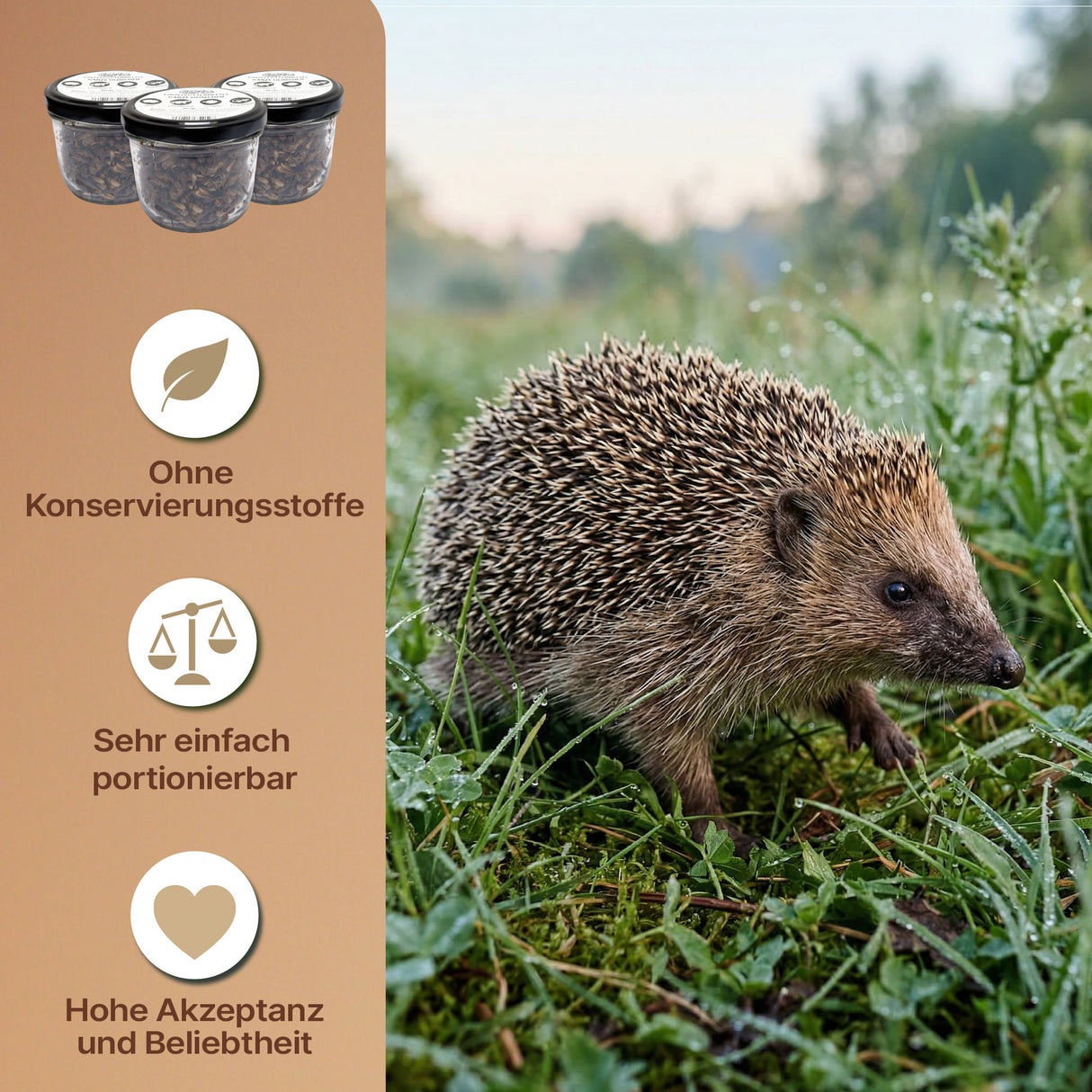 EntoZoo - ganze Heimchen im Glas - einzeln entnehmbar - als Futtertier