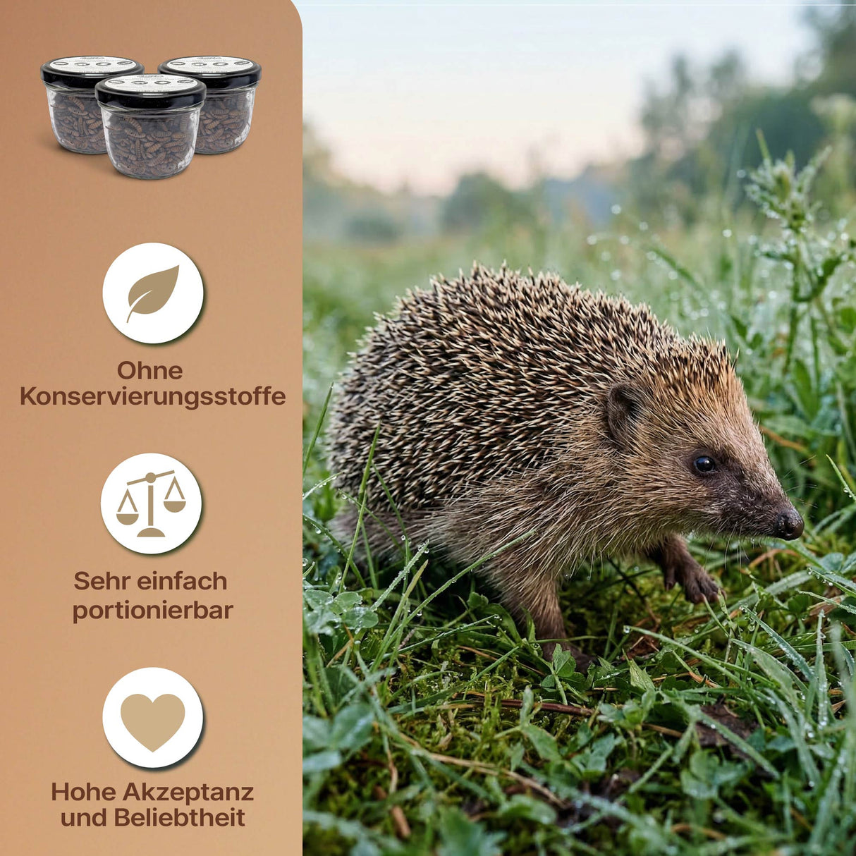 EntoZoo - Ganze Insekten im Glas blanchiert - schwarze Soldatenfliegen Larve: 1 x 340g
