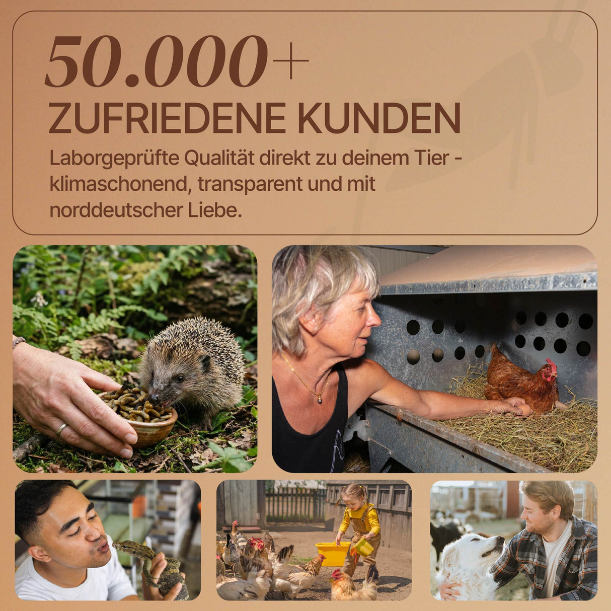 EntoZoo - Ganze Insekten im Glas blanchiert - schwarze Soldatenfliegen Larve: 1 x 340g