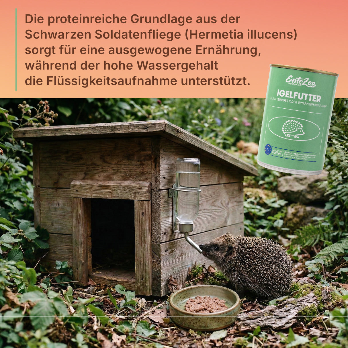 EntoZoo - Igelfutter in der Dose - schwarze Soldatenfliegen Larve 200g