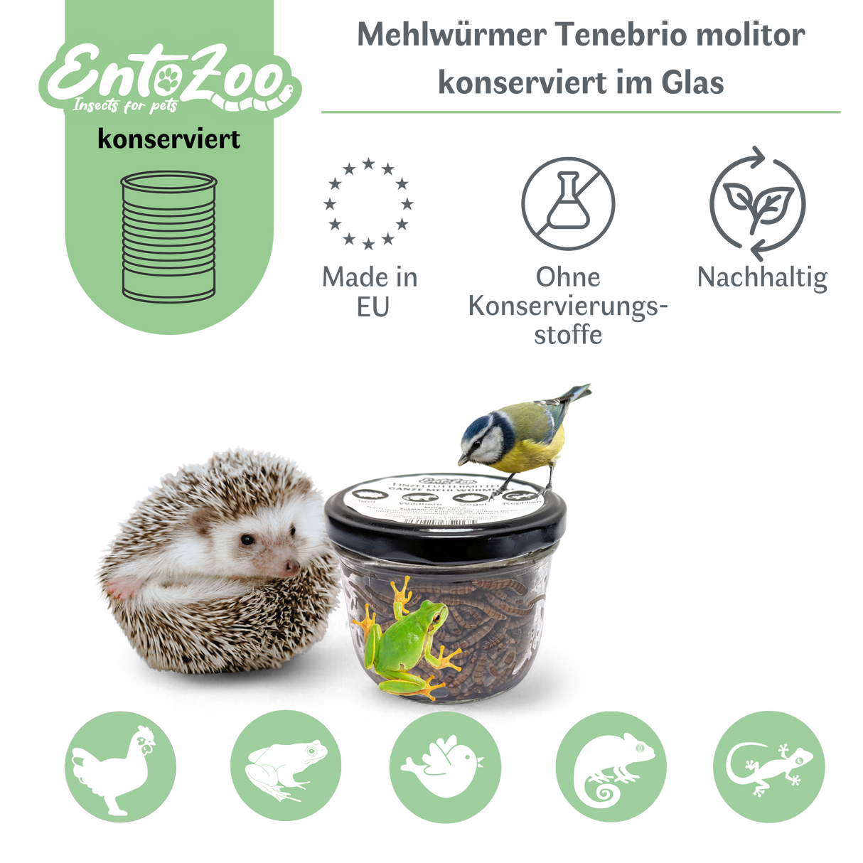 EntoZoo - ganze Mehlwürmer im Glas - einzeln entnehmbar - als Futtertier