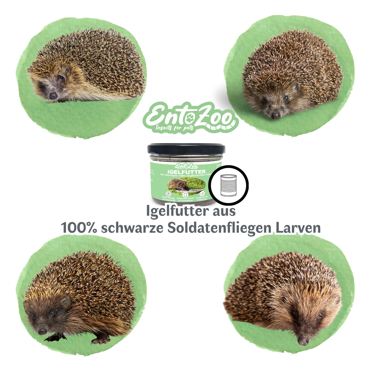 EntoZoo - Igelfutter im Glas - schwarze Soldatenfliegen Larve