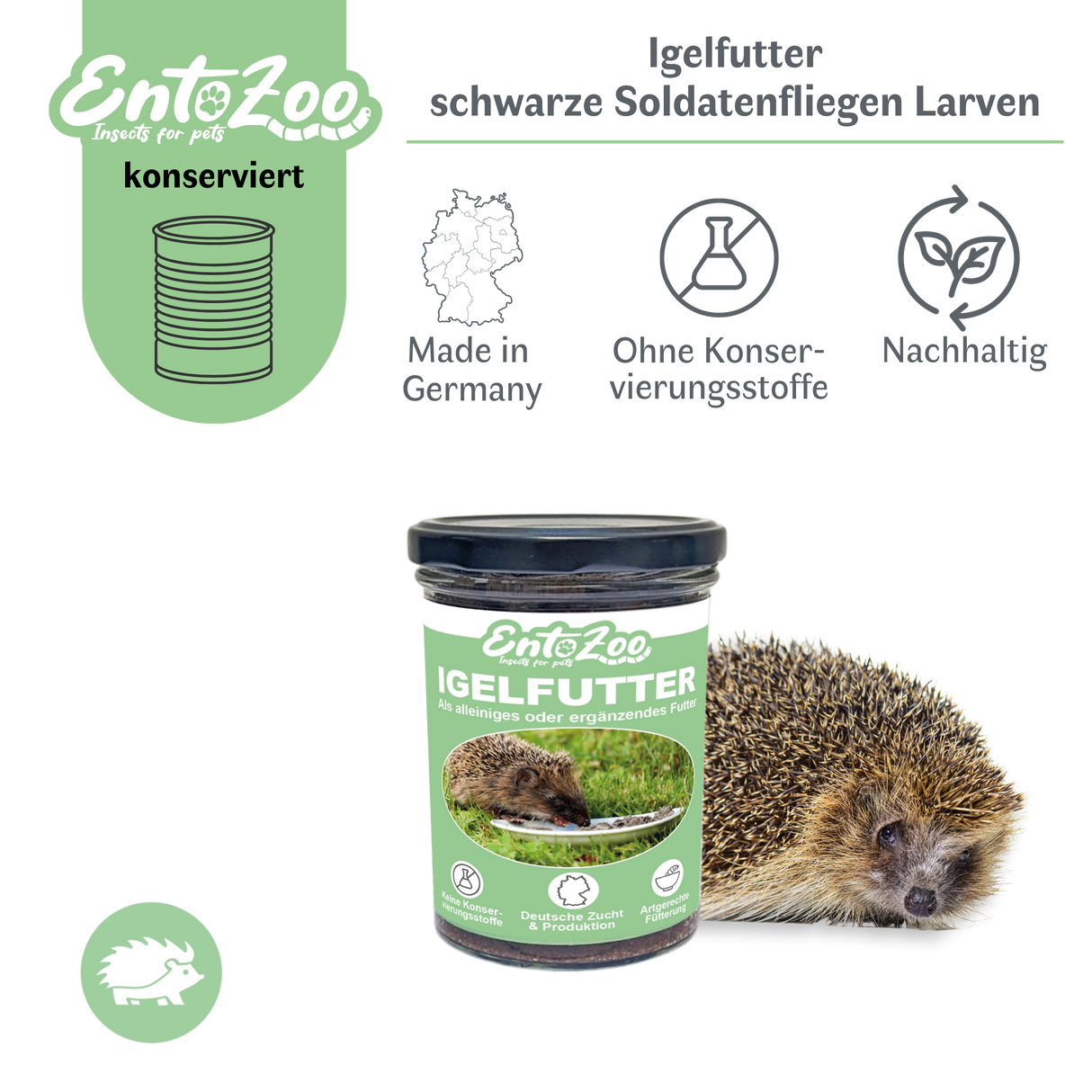 EntoZoo - Igelfutter im Glas - schwarze Soldatenfliegen Larve