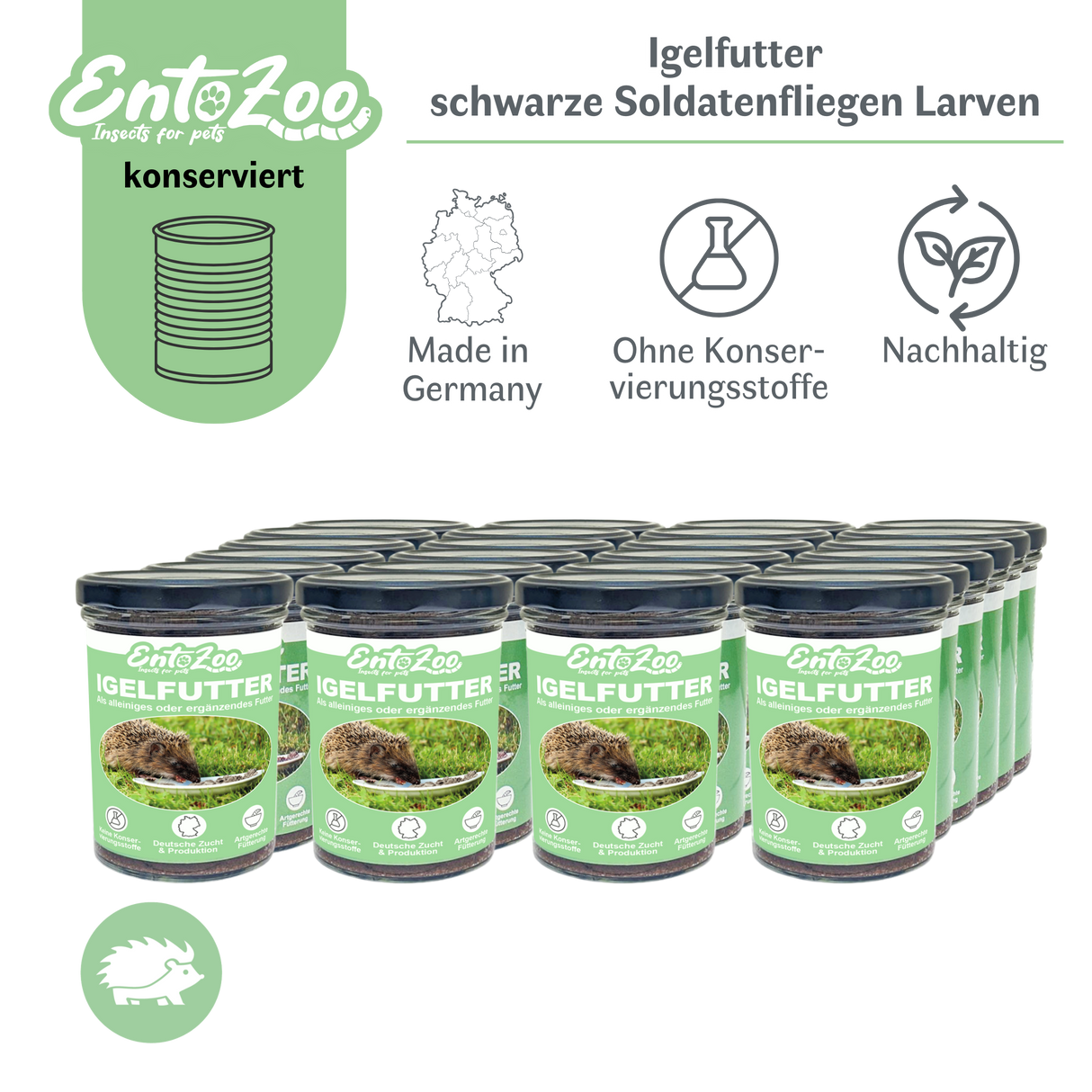 EntoZoo - Igelfutter im Glas - schwarze Soldatenfliegen Larve