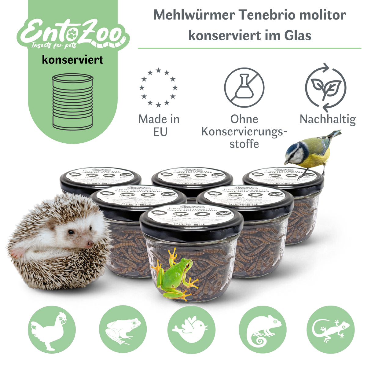 EntoZoo - ganze Mehlwürmer im Glas - einzeln entnehmbar - als Futtertier