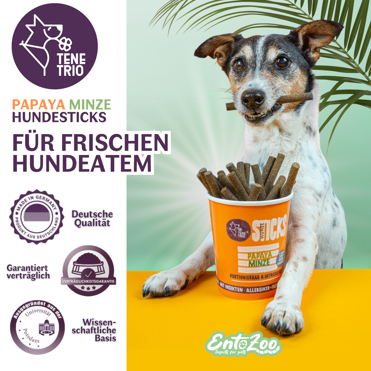 Tenetrio - Hundesticks Papaya Minze für frischen Hundeatem