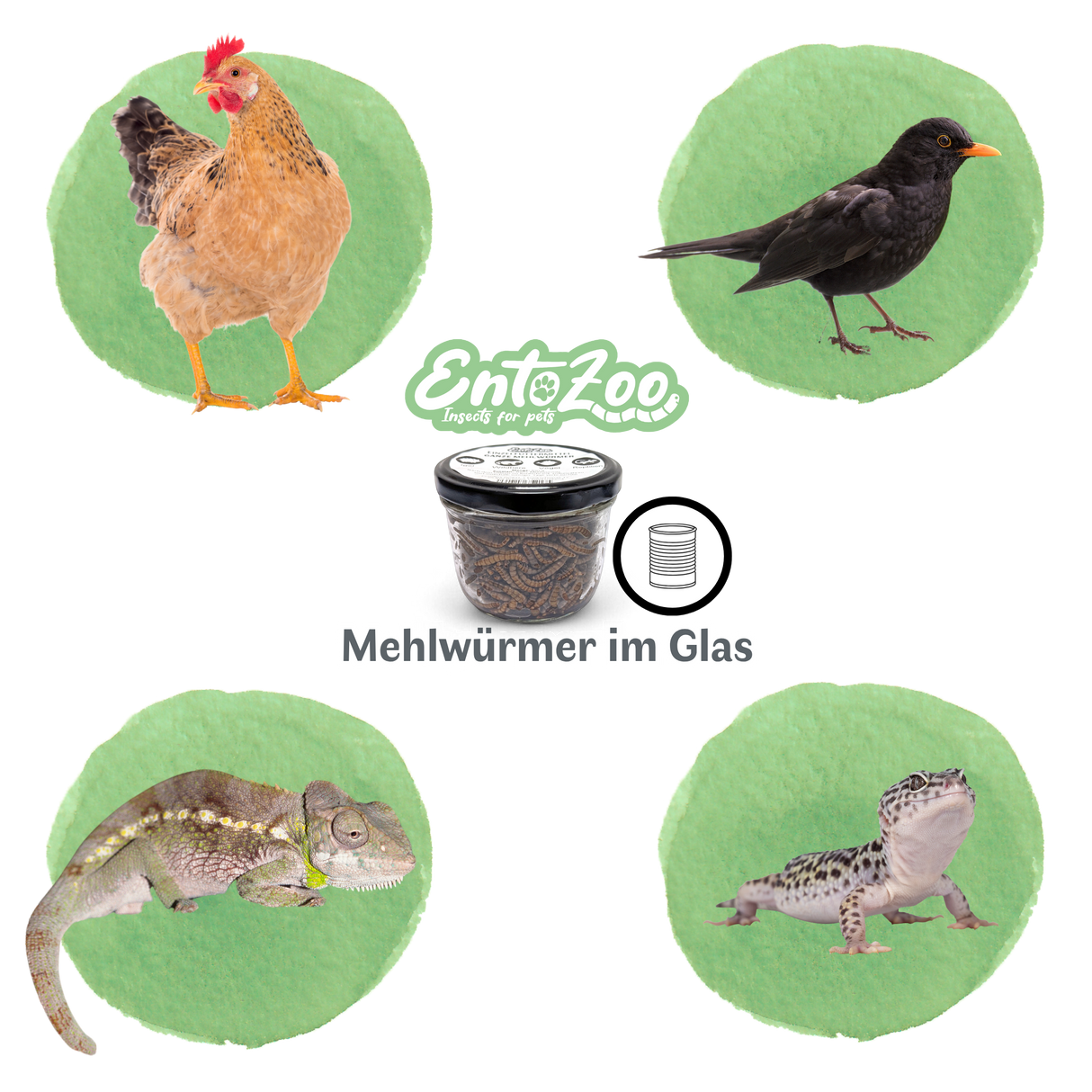 EntoZoo - ganze Mehlwürmer im Glas - einzeln entnehmbar - als Futtertier