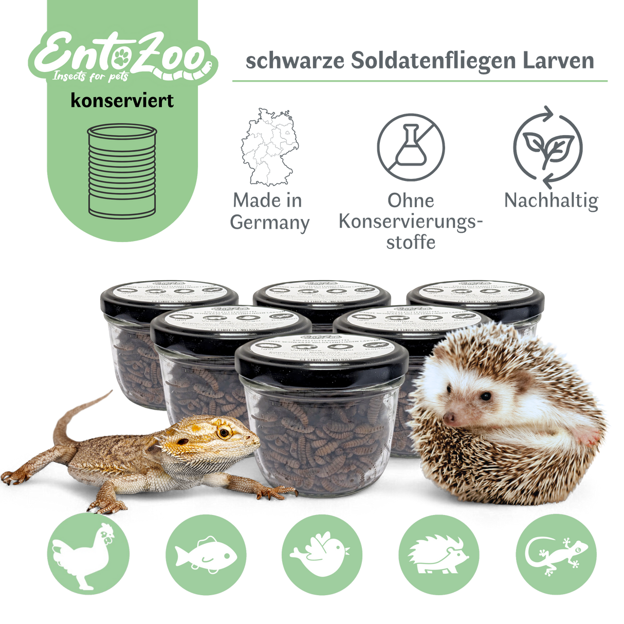 EntoZoo - ganze schwarze Soldatenfliegen Larven im Glas - einzeln entnehmbar - als Futtertier 100g