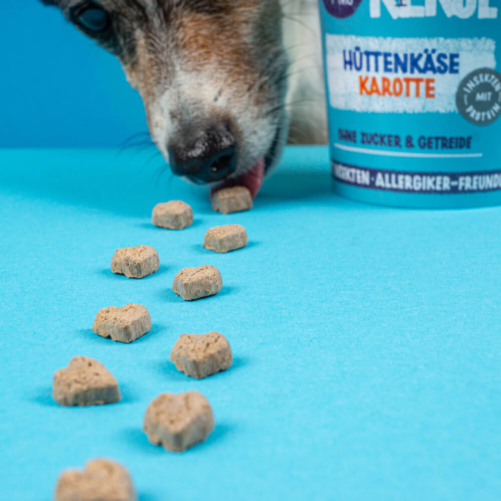 Tenetrio Hundekekse Hüttenkäse Karotte Verdauungsproblem Magen Allergie