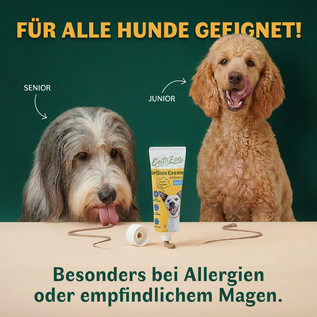EntoZoo - Grillen Creme - Sensitiv - mit Erdnuss