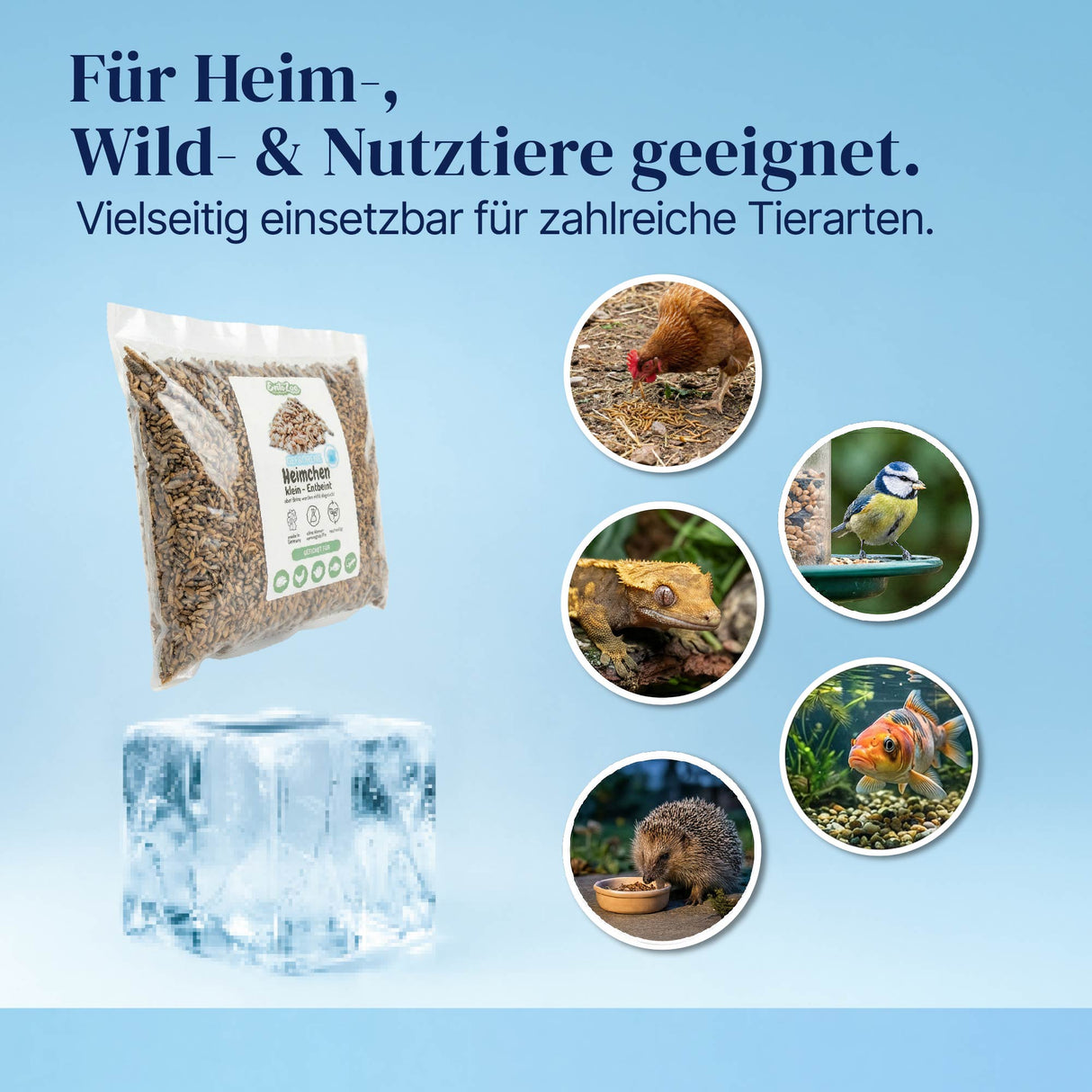 Gefrorene Heimchen