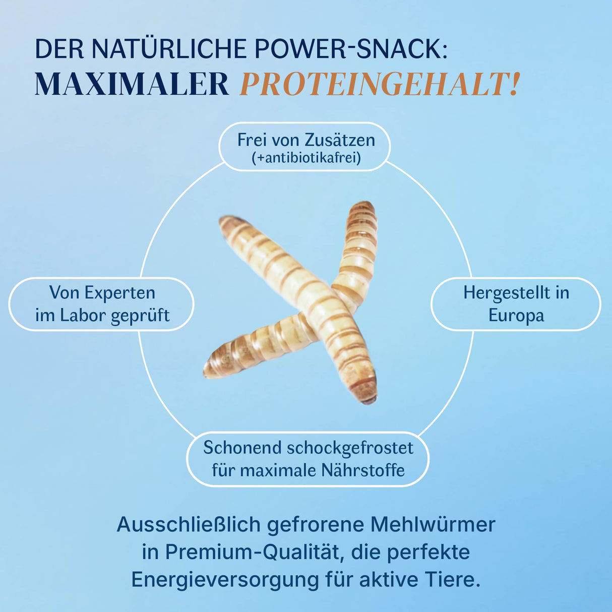 Gefrorene Mehlwürmer einzeln entnehmbar