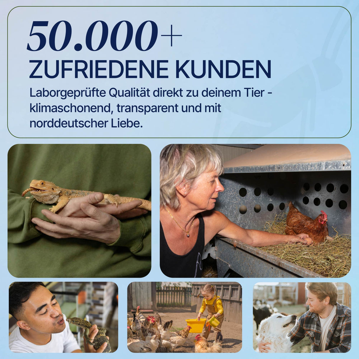 Gefroren Schwarze Soldatenfliegen Larven Hermetia illucens - groß - einzeln entnehmbar