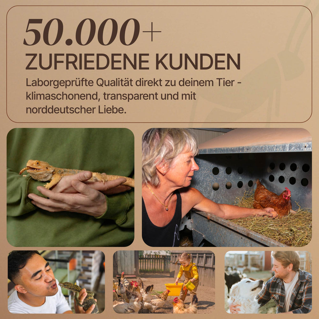 Getrocknete Mehlwürmer