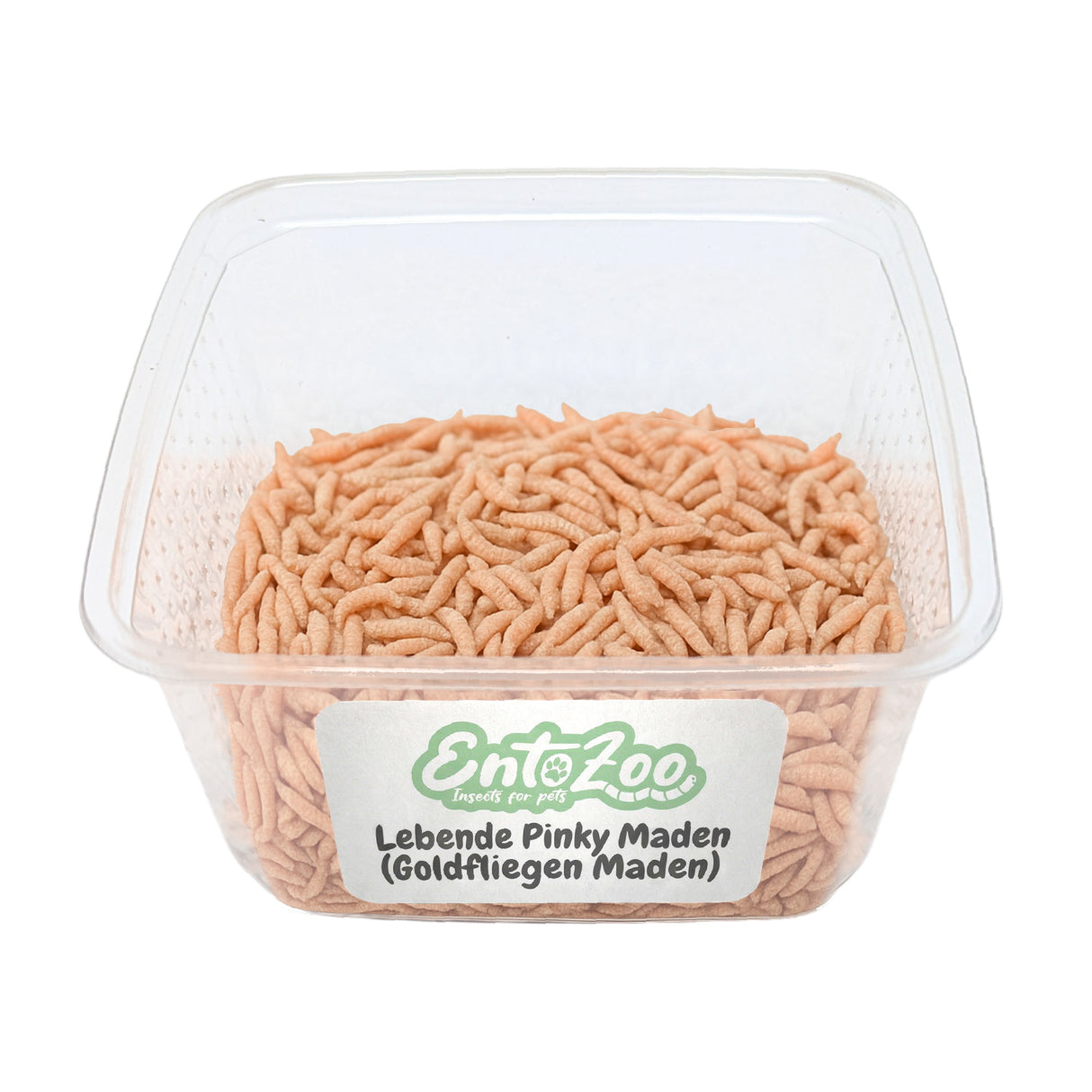 Lebende Pinky Maden (Lucilia sp.) Goldfliege Maden - einzeln entnehmbar