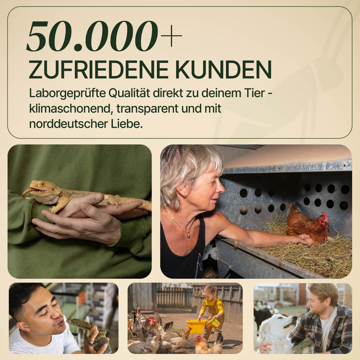 Lebende Zophobas in Substrat als Futtertier