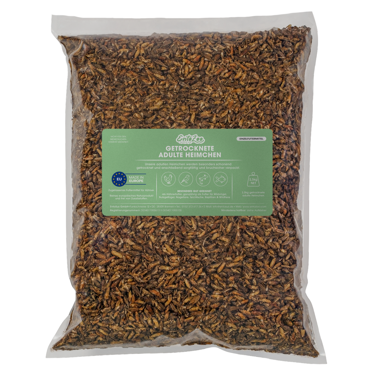 Getrocknete Heimchen Acheta domesticus - groß - mit Beinen und Flügeln