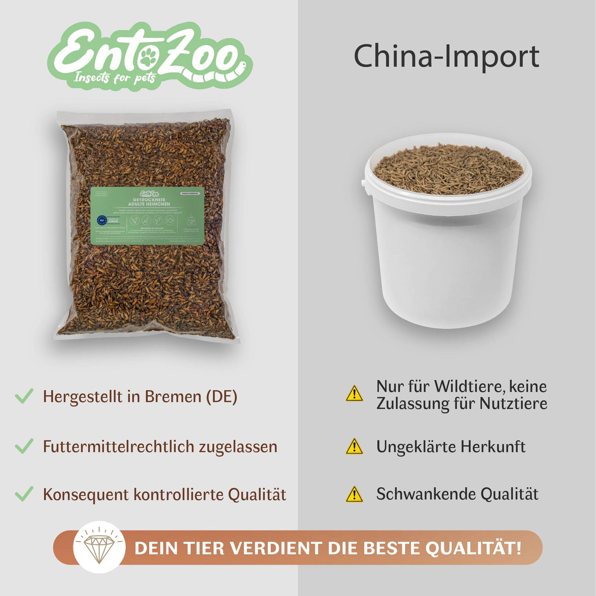 Getrocknete Heimchen Acheta domesticus - groß - mit Beinen und Flügeln