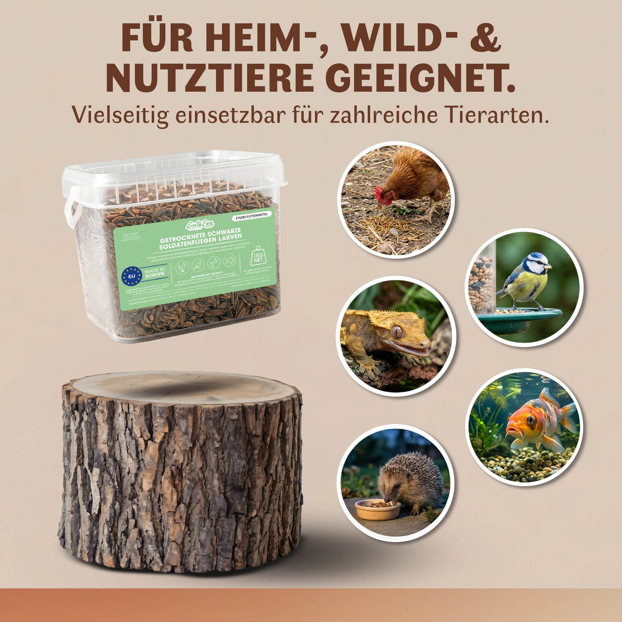 Getrocknete Schwarze Soldatenfliegen Larven für Vögel und andere Haustiere