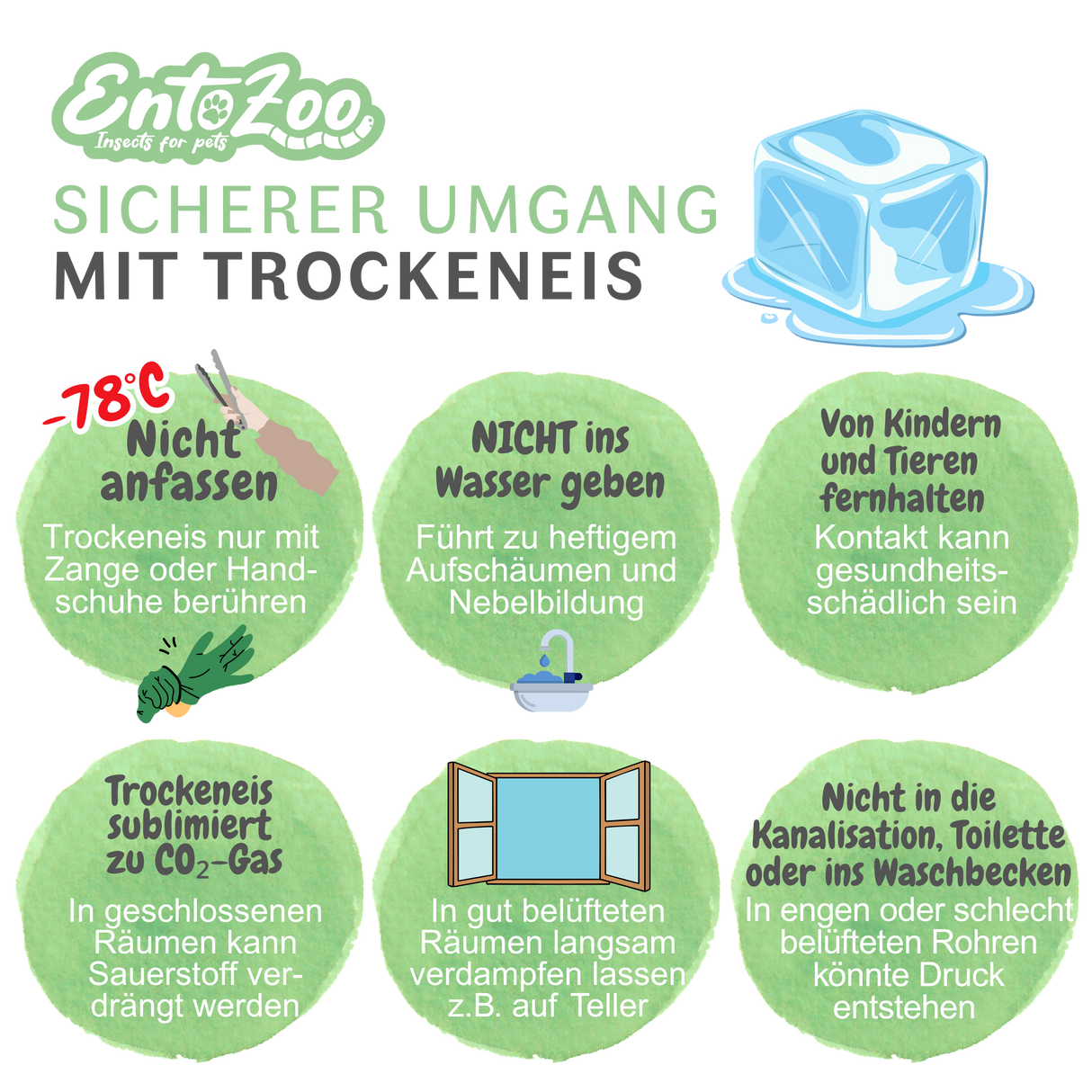 Gefrorene Wachsmotten Larven / Bienenmaden Larven - Blanchiert - Futterinsekten - einzeln entnehmbar