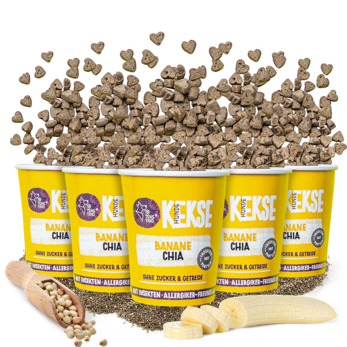Tenetrio - Hundekekse Banane Chia für das Immun- und Verdauungssystem