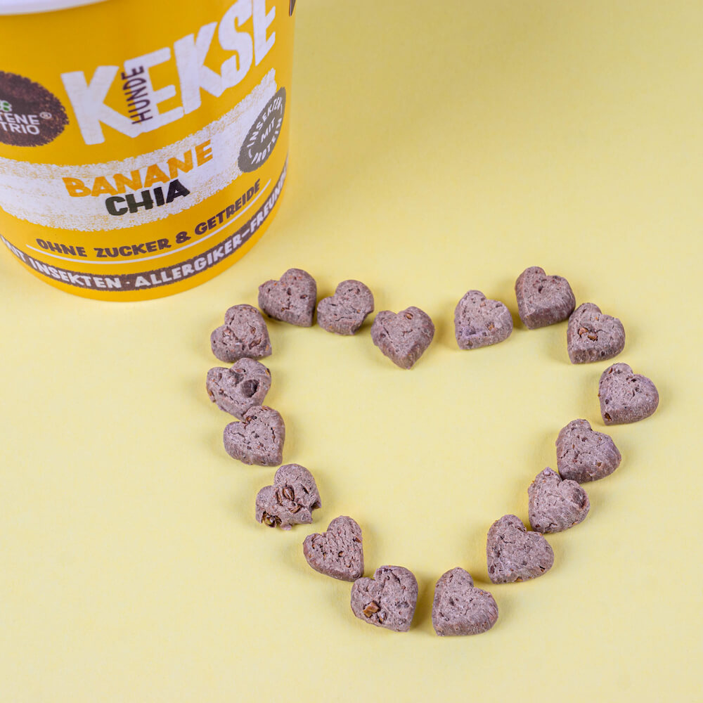 Tenetrio - Hundekekse Banane Chia für das Immun- und Verdauungssystem