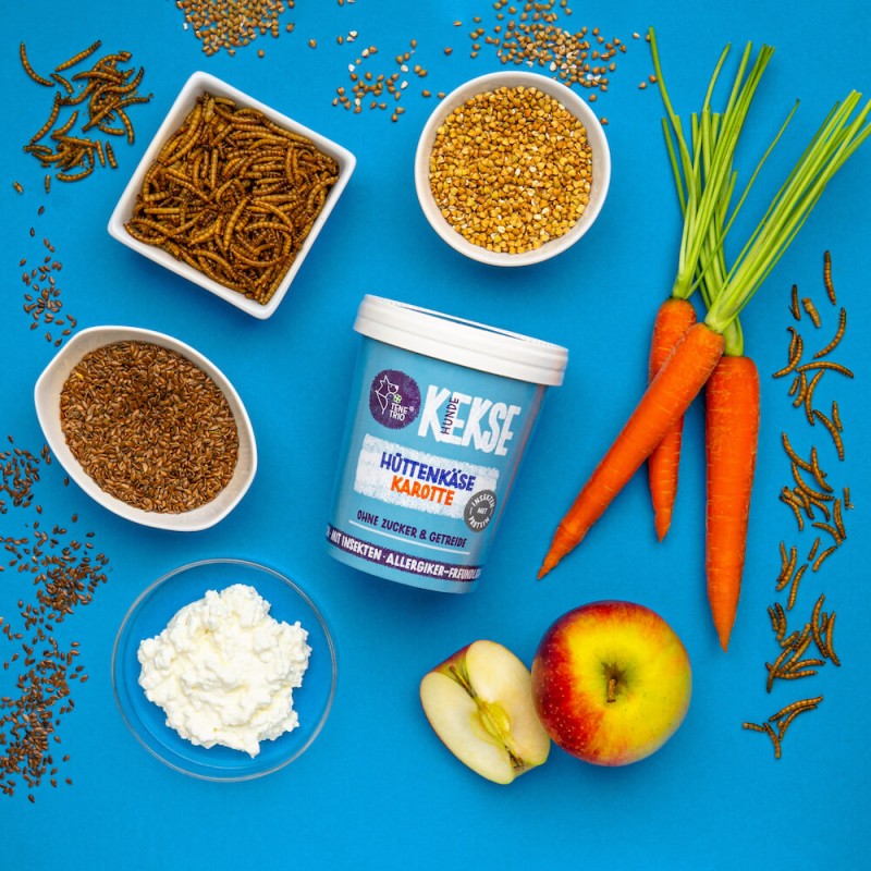 Tenetrio Hundekekse Hüttenkäse Karotte Verdauungsproblem Magen Allergie