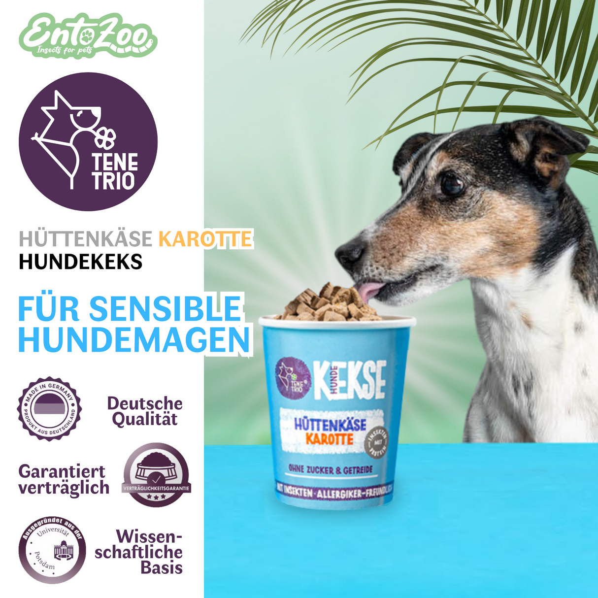 Tenetrio Hundekekse Hüttenkäse Karotte Verdauungsproblem Magen Allergie