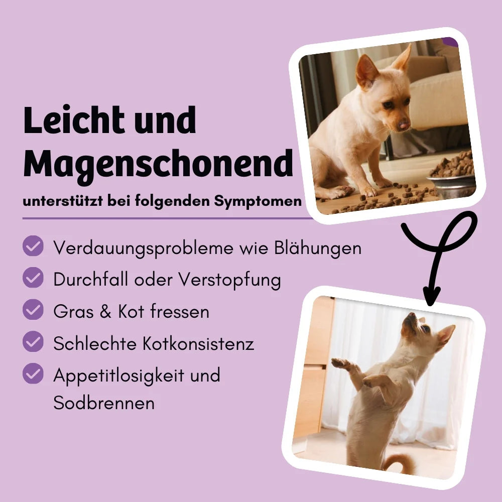 Bugbell - Hunde Trockenfutter - BellyVital Verdauung & Darmflora