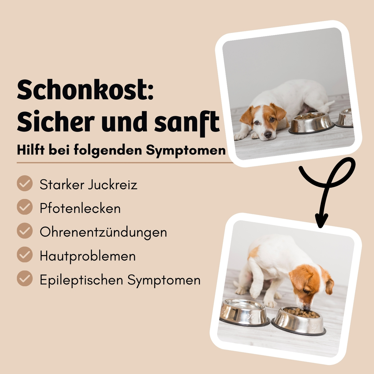 Bugbell - Trockenfutter - Schonkost bei Unverträglichkeiten 900g