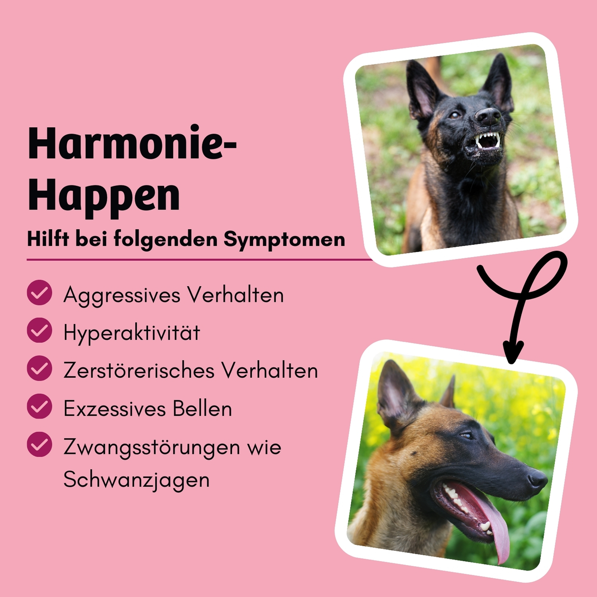 Bugbell - Hundekeks - Harmonie und Zufriedenheit - BugKeks Cranberry & Käse 150g