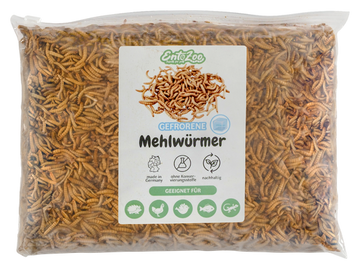 Gefrorene Mehlwürmer im Beutel