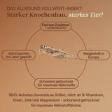 EntoZoo - ganze Heimchen im Glas - einzeln entnehmbar - als Futtertier