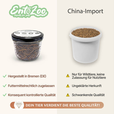 EntoZoo - ganze Mehlwürmer im Glas - einzeln entnehmbar - als Futtertier