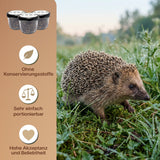 EntoZoo - ganze Heimchen im Glas - einzeln entnehmbar - als Futtertier