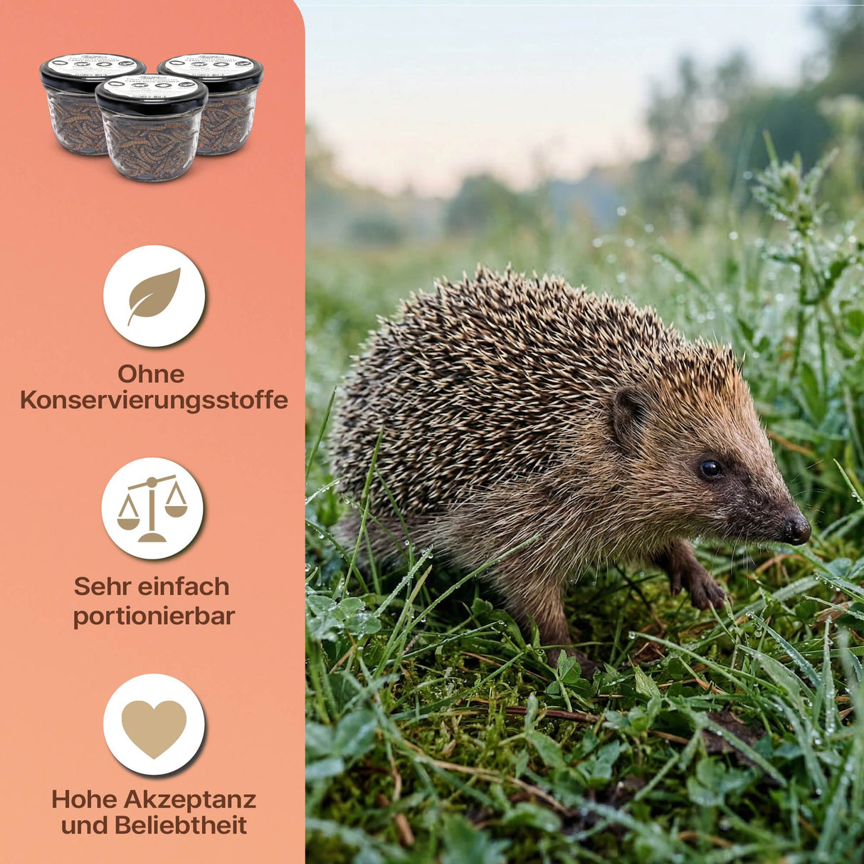 EntoZoo - ganze Mehlwürmer im Glas - einzeln entnehmbar - als Futtertier