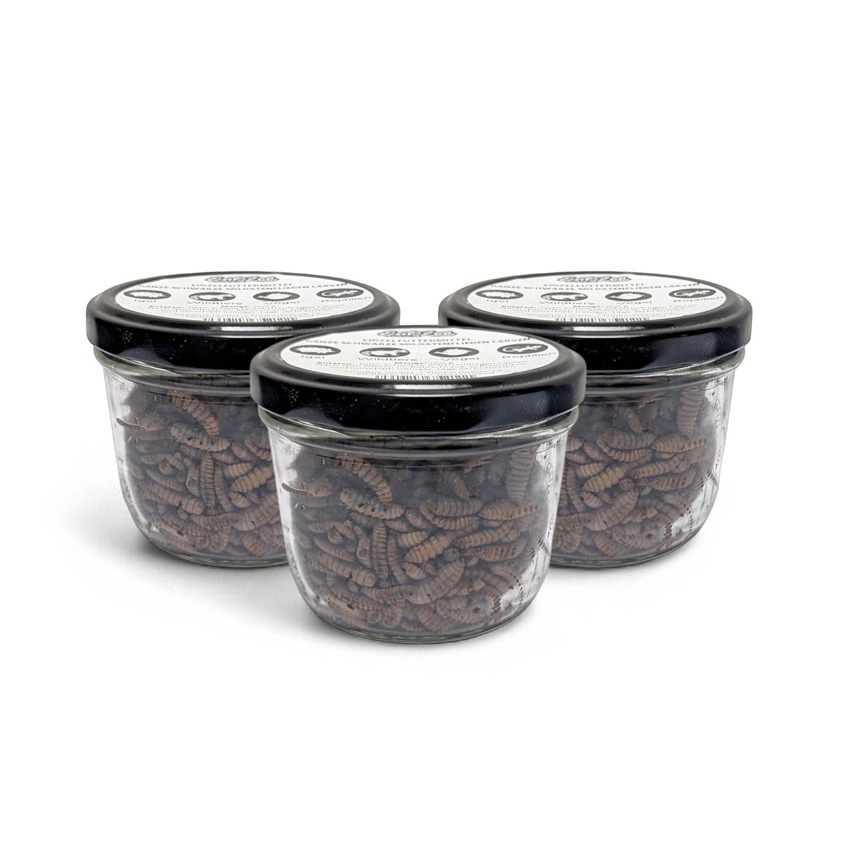 EntoZoo - Ganze Insekten im Glas blanchiert - schwarze Soldatenfliegen Larve: 1 x 340g