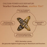 EntoZoo - Ganze Insekten im Glas blanchiert - schwarze Soldatenfliegen Larve: 1 x 340g