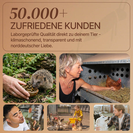 EntoZoo - Igelfutter im Glas - schwarze Soldatenfliegen Larve