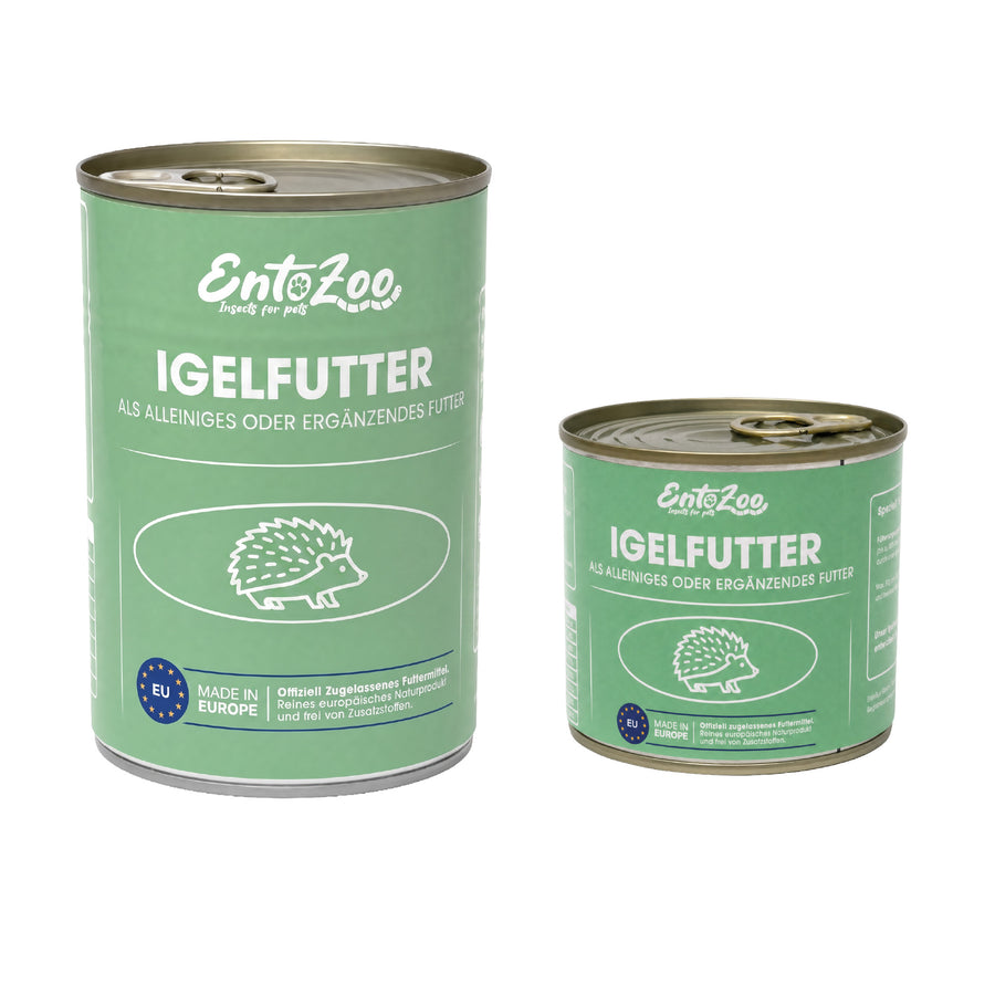 Konservierte Insekten