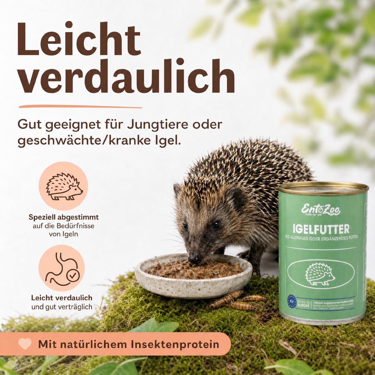 EntoZoo - Igelfutter in der Dose - schwarze Soldatenfliegen Larve 200g