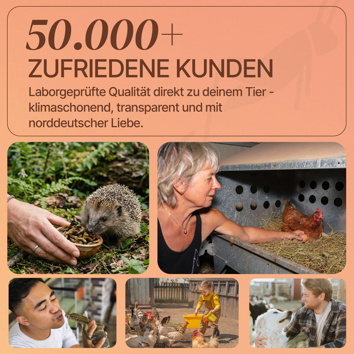 EntoZoo - Igelfutter in der Dose - schwarze Soldatenfliegen Larve 200g