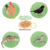 Lebende Mehlwürmer als Futtertier