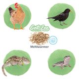 Mehlwürmer - gefroren - einzeln entnehmbar