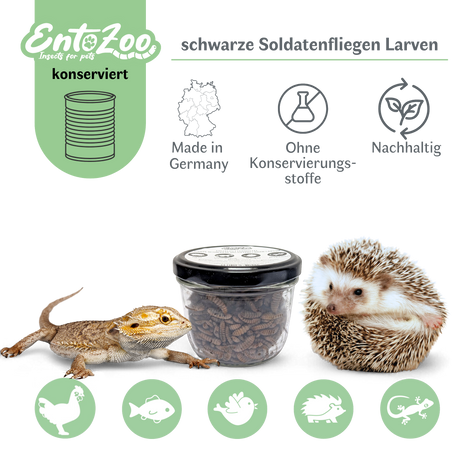 EntoZoo - Whole Black Soldier Fly Larvae in a Jar - Individually Removable - as Feeder Insects 100g