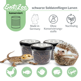 EntoZoo - Whole Black Soldier Fly Larvae in a Jar - Individually Removable - as Feeder Insects 100g