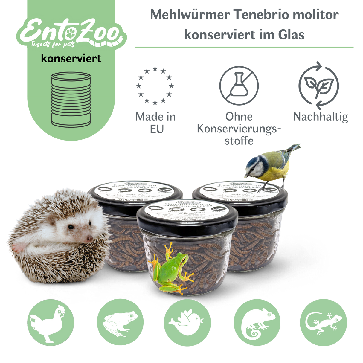 EntoZoo - ganze Mehlwürmer im Glas - einzeln entnehmbar - als Futtertier