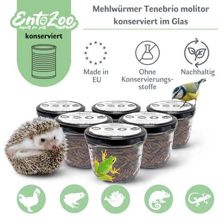 EntoZoo - ganze Mehlwürmer im Glas - einzeln entnehmbar - als Futtertier