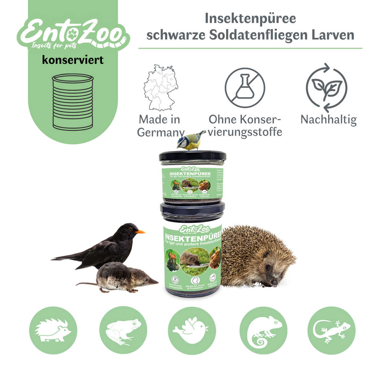 EntoZoo - Insektenpüree im Glas schwarze Soldatenfliege Larven